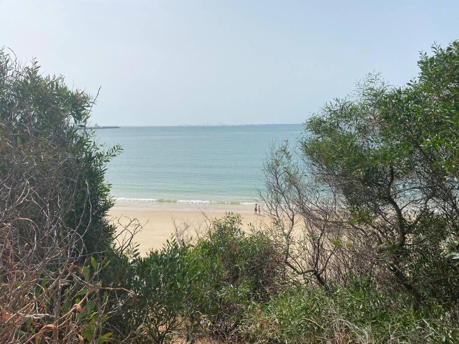Apartamento A Unos Pasos De La Playa ロタ エクステリア 写真